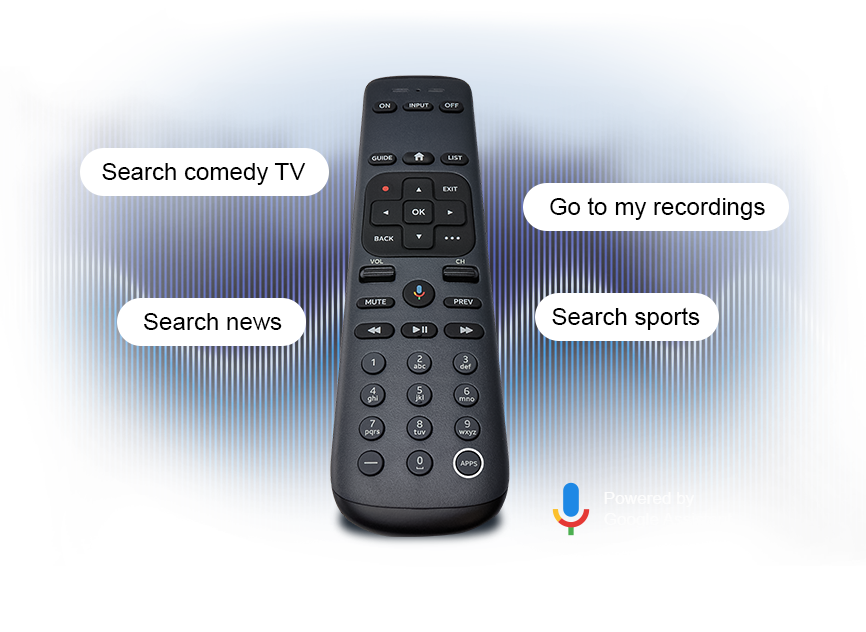 Gemini Voice Remote